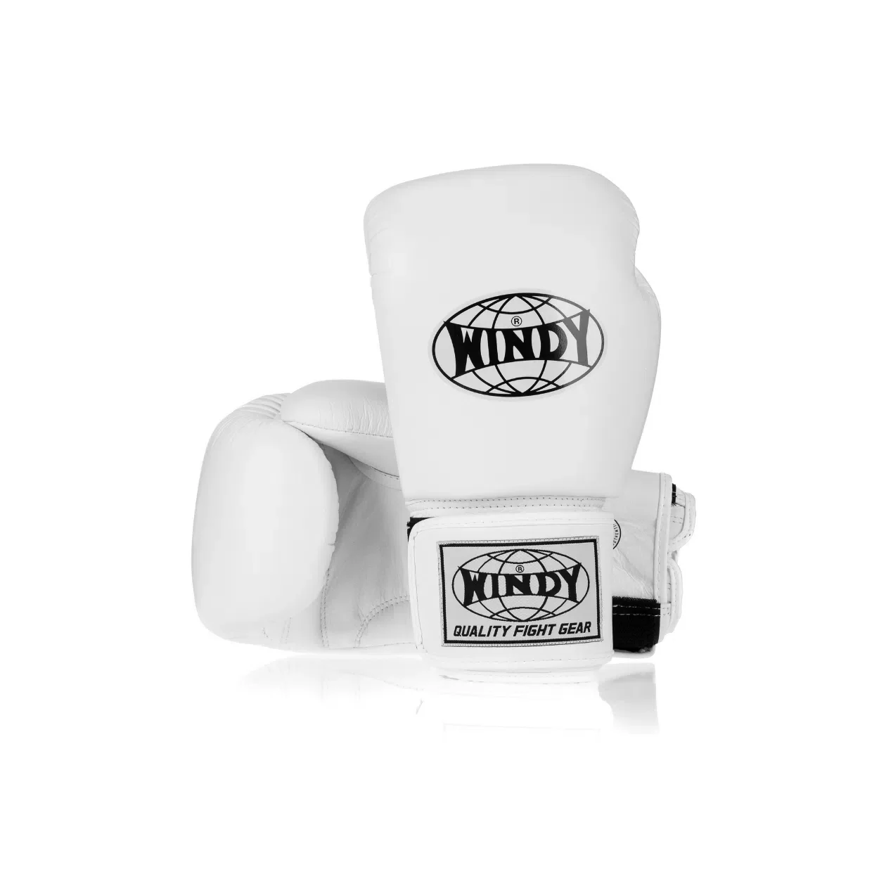 Windy Leather Boxing Gloves White BGVH